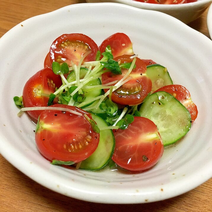 トマトときゅうりと貝割れ大根のマリネ レシピ 作り方 By おこのみっちゃん 楽天レシピ トマトときゅうりと貝割れ大根のマリネ レシピ 作り方 By おこのみっちゃん 楽天レシピ